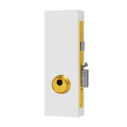 Mecanismo de embutir semi blindado R200 T60 Tesa