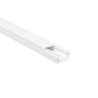 Canaleta de 1 vía 10 x 20 mm 2 metros 6431 Adir