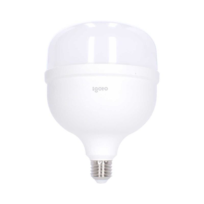Foco LED de alta potencia T140 50 W 6500 °K Luz fría F10550 Igoto