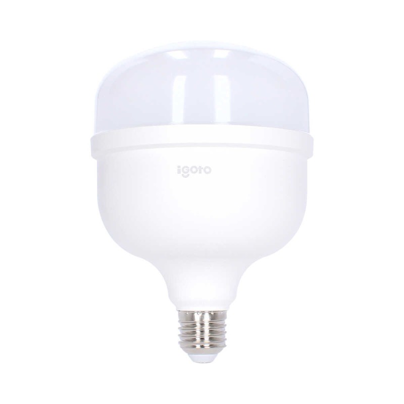 Foco LED de alta potencia T120 40 W 6500 °K Luz fría F10540 Igoto