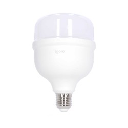 Foco LED de alta potencia T100 30 W 6500 °K Luz fría F10530 Igoto