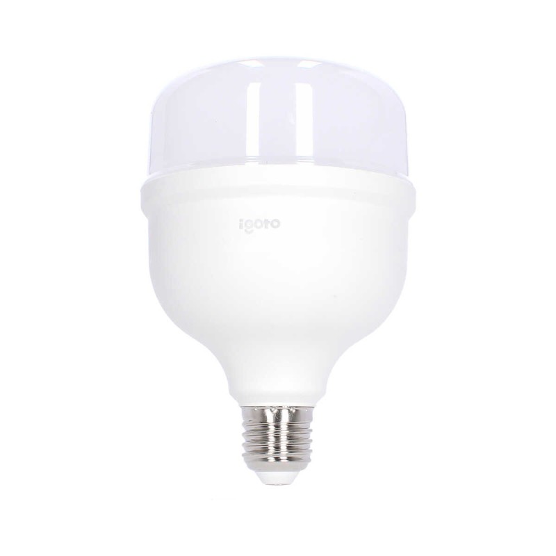 Foco LED de alta potencia T100 30 W 6500 °K Luz fría F10530 Igoto