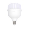 Foco LED de alta potencia T100 30 W 6500 °K Luz fría F10530 Igoto