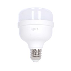 Foco LED de alta potencia T80 20 W 6500 °K Luz fría F10520 Igoto