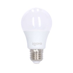 Foco LED A55 7 W 6500 °K Luz fría F10107 Igoto