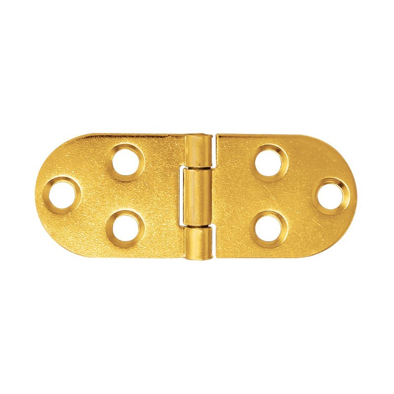 Bisagra cubierta latón brillante 79-398 Herrasa