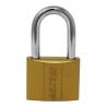 Candado de hierro gancho largo 60 mm 16919 Dexter