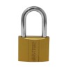 Candado de hierro gancho largo 50 mm 16918 Dexter