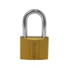 Candado de hierro gancho largo 40 mm 16917 Dexter