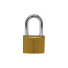 Candado de hierro gancho largo 25 mm 16915 Dexter