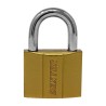 Candado de hierro gancho corto 60 mm 16914 Dexter
