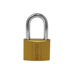 Candado de hierro gancho largo 30 mm 16916 Dexter