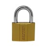 Candado de hierro gancho corto 50 mm 16913 Dexter