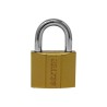 Candado de hierro gancho corto 40 mm 16912 Dexter