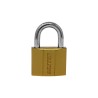 Candado de hierro gancho corto 30 mm 16911 Dexter