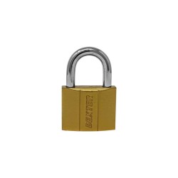 Candado de hierro gancho corto 25 mm 16910 Dexter