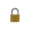 Candado de hierro gancho corto 25 mm 16910 Dexter