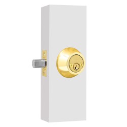 Cerrojo doble cilindro latón brillante PF0095 Top Forge